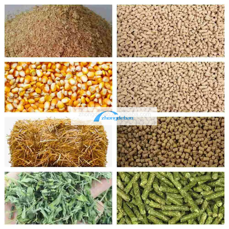 300-400 KG/h Macchina per pellet per alimenti per animali domestici con alta produttività