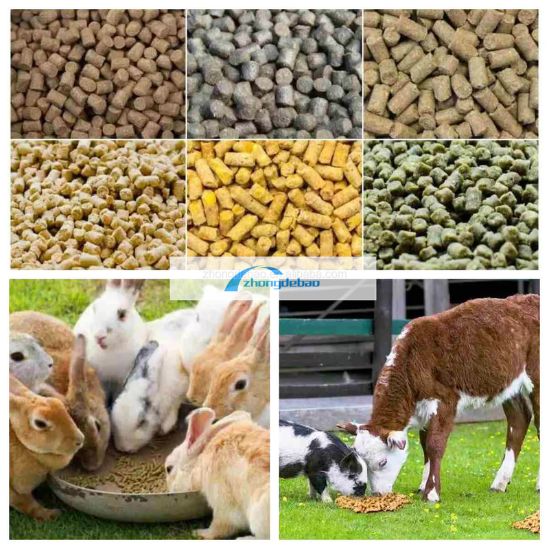 300-400 KG/h Macchina per pellet per alimenti per animali domestici con alta produttività