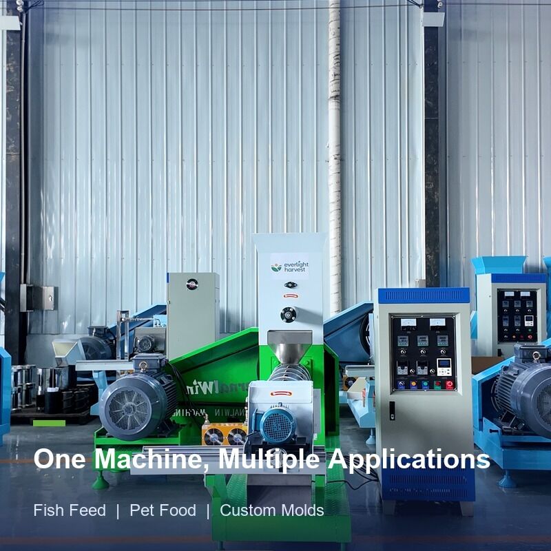 Macchina estrudere pellet mangime per gamberetti per la produzione di mangimi galleggianti per acquacoltura con design a facile utilizzo