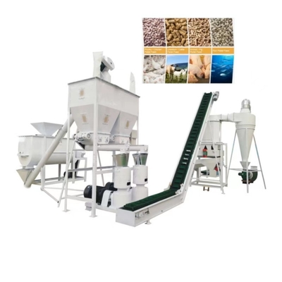 Il servizio lungo ha personalizzato la linea di trasformazione della pelletizzazione per l'alimentazione animale