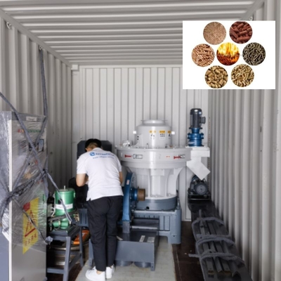 Linea di produzione della pallina della biomassa di grande capacità combustibile Straw Pellet Making Machine