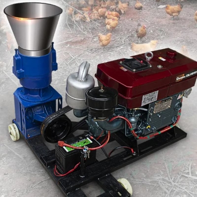 Motore a diesel di 30 CV per pollo a pellet 2200r
