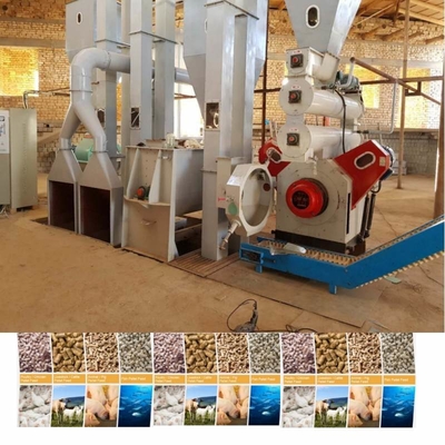 Linea di trasformazione di pellet per animali, pollame, pollo, mangime per bovini per uso commerciale